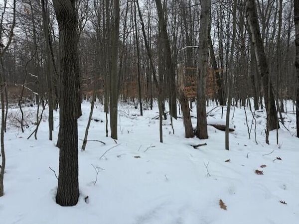 12066 Red Feather Lane, Canadian Lakes, MI 49346