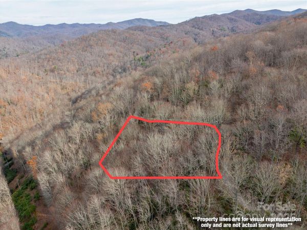 Lot 5 Mt Tabor Road , Topton, NC 28781