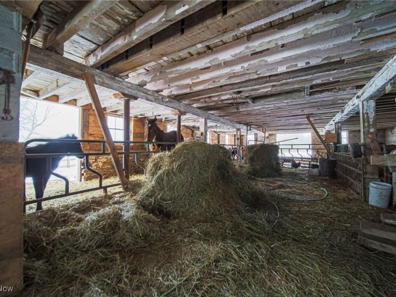 6899 Orangeville Kinsman Road, Kinsman, OH 44428 Photo 30