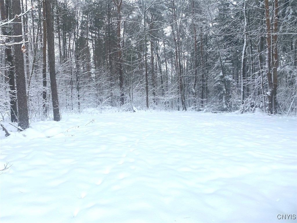 E Hill Road, Friendship, NY 14739 Main Photo