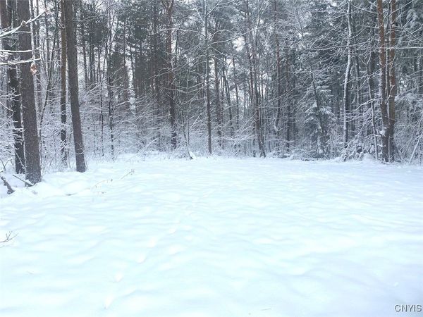 E Hill Road, Friendship, NY 14739