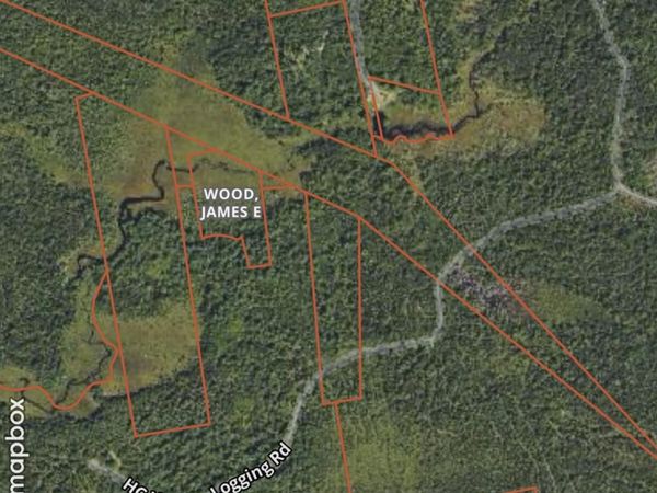 Map 38 Lot 11, Surry, ME 04684
