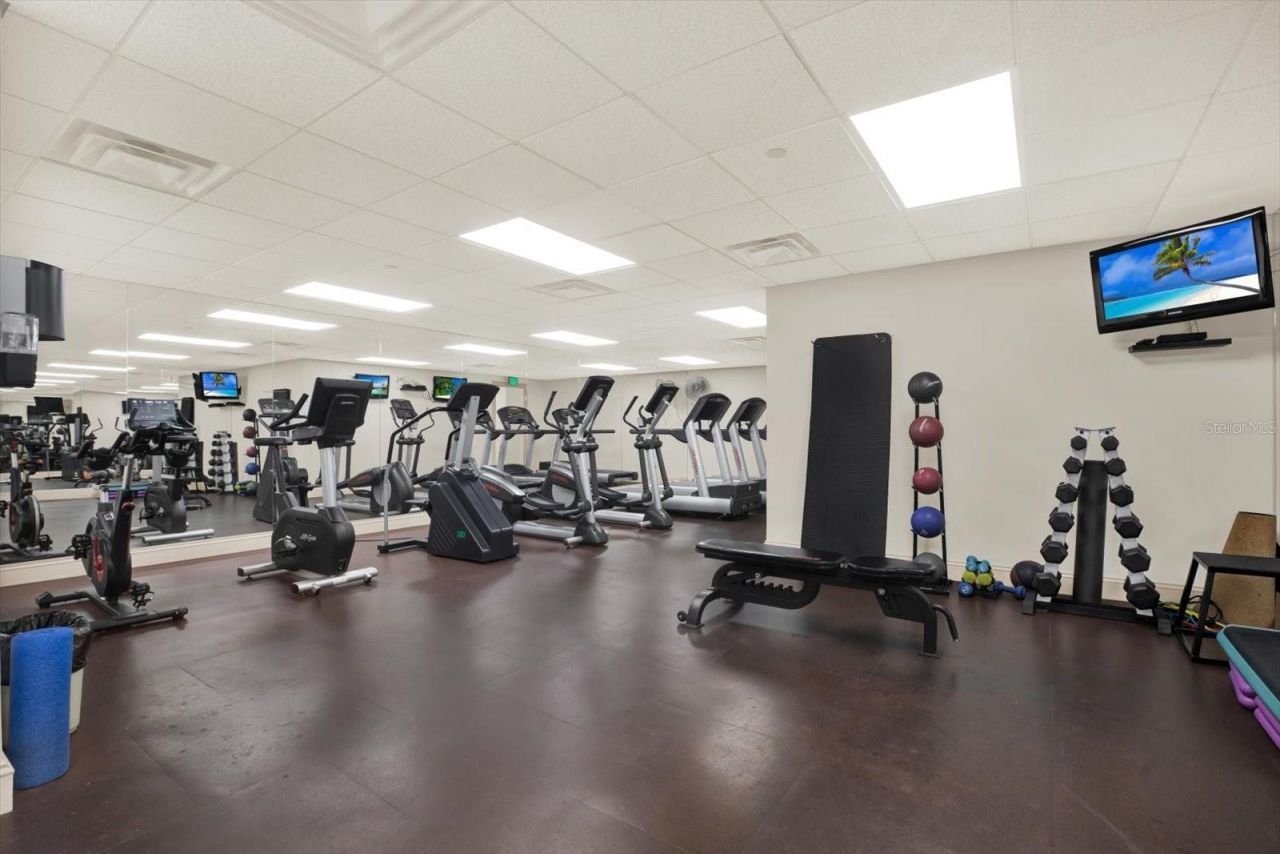 345 Bayshore Boulevard, Unit 310, Tampa, FL 33606 Photo