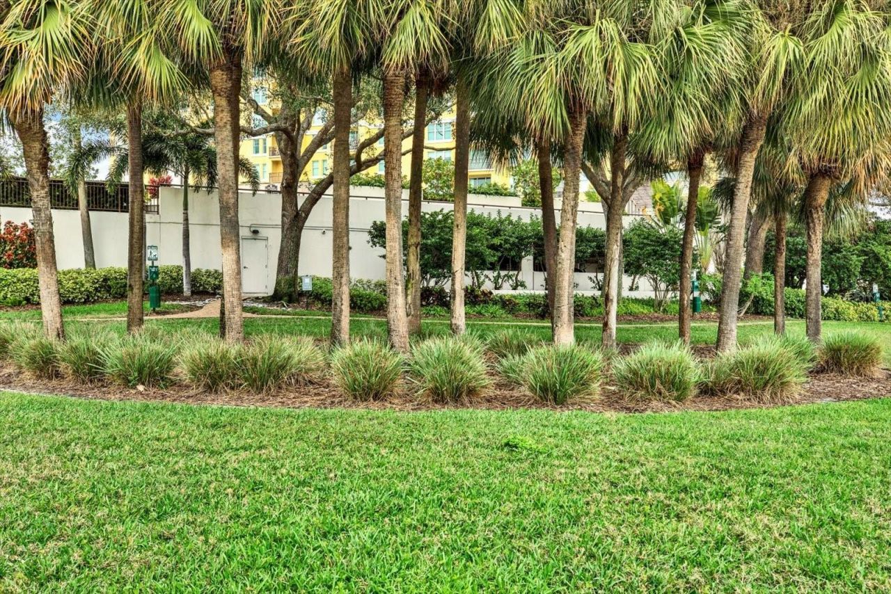 345 Bayshore Boulevard, Unit 310, Tampa, FL 33606 Photo