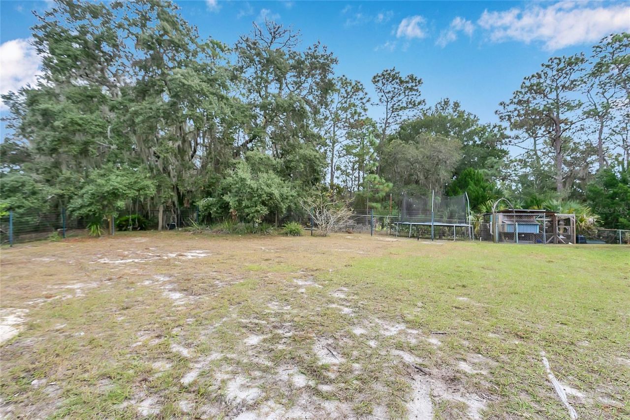 1795 Brumley Road, Chuluota, FL 32766 Photo