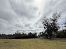 7040 Lumberton Road, Zephyrhills, FL 33540 Photo