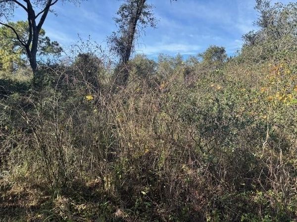 0 County Rd 54, Kathleen, FL 33849