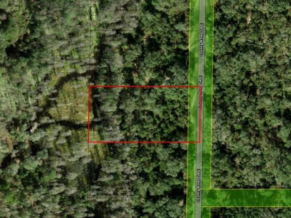 0 County RD 54 E, Kathleen, FL 33849