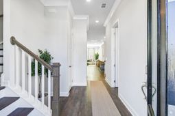 2921 Wilson Creek Lane photo 4