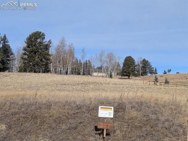 307 Pinaceae Heights, Divide, CO 80814
