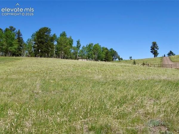 307 Pinaceae Heights, Divide, CO 80814