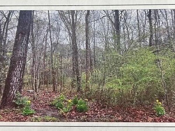 Edgewood Dr, Starkville, MS 39759