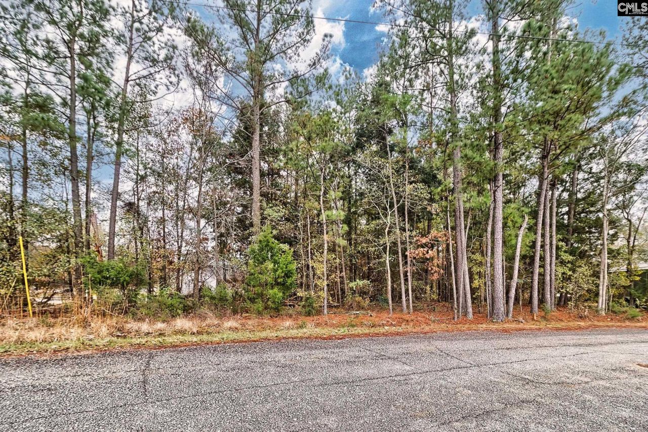 421 W Point Drive  Photo 11