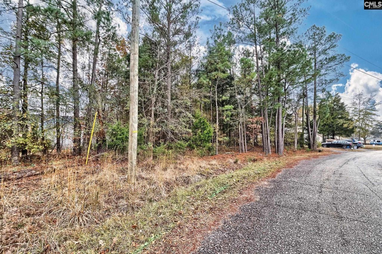 421 W Point Drive  Photo 12