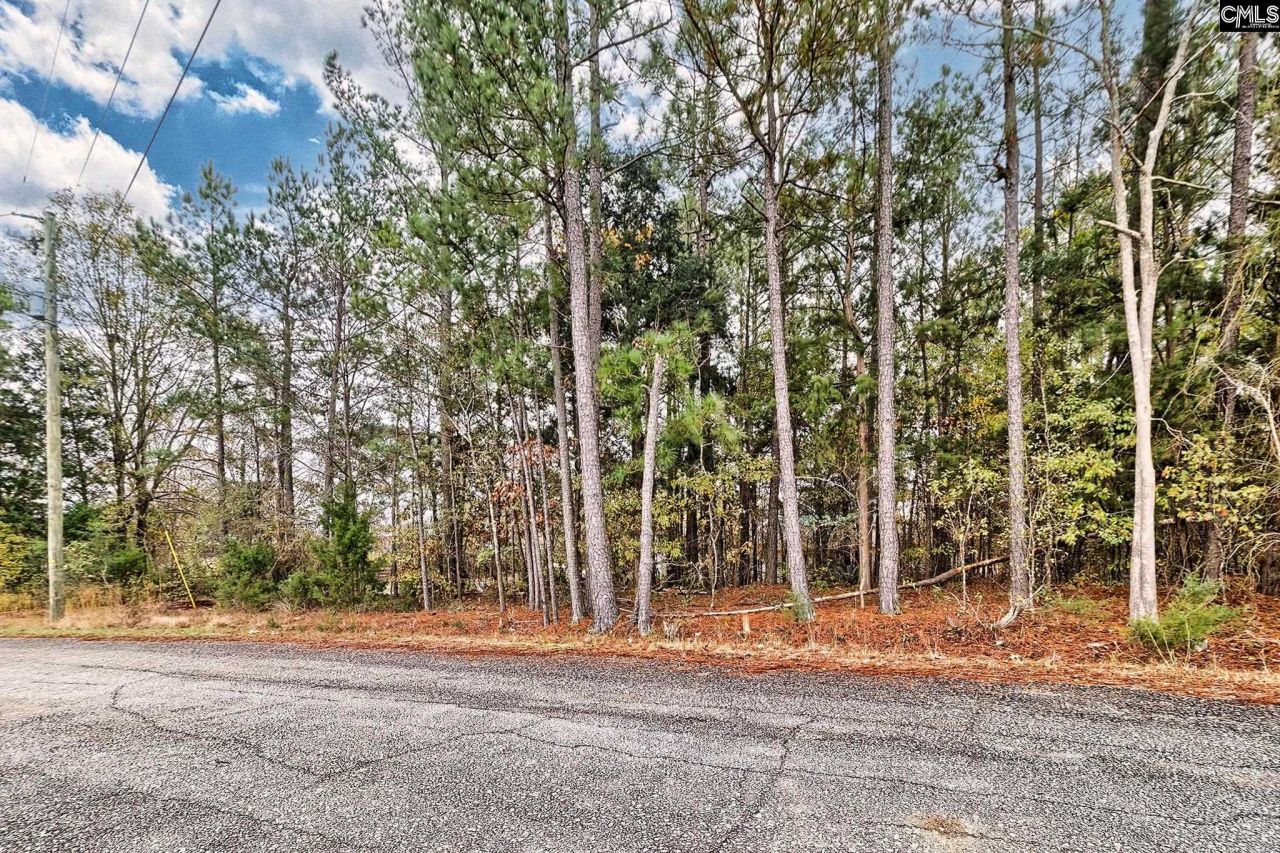 421 W Point Drive  Photo 13