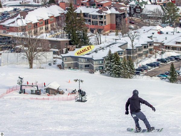 12400 Crystal Mountain Drive, Unit 346, Thompsonville, MI 49683