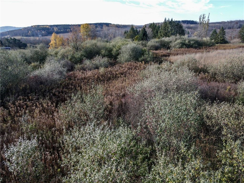 Vl Lot 03 Williams Road, Addison, NY 14801 Main Photo