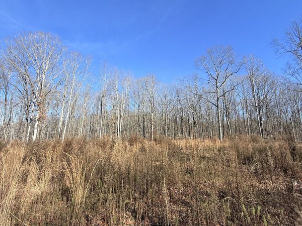 0 Deer Wood Drive , Sewanee, TN 37375