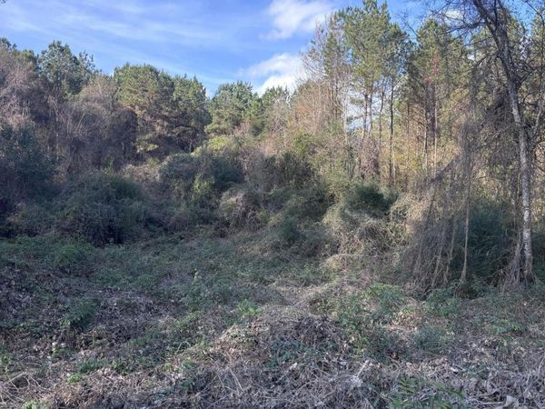 00 Jones Rd., Foxworth, MS 39483