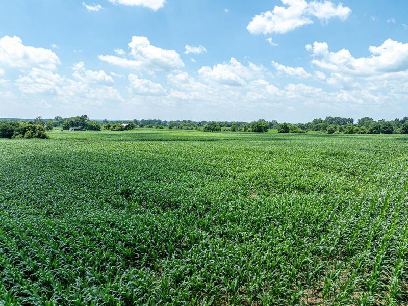 10159 Lake Road NE, Millersport, OH 43046 Photo 15