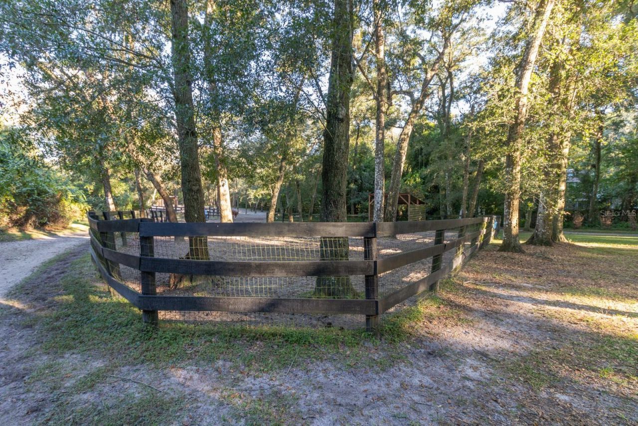 560 N Lake Pleasant Road, Apopka, FL 32712 Photo