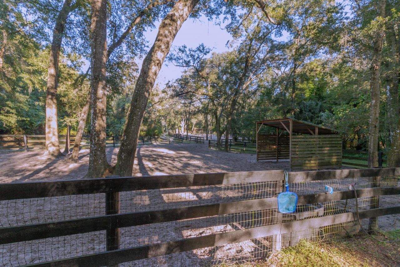 560 N Lake Pleasant Road, Apopka, FL 32712 Photo