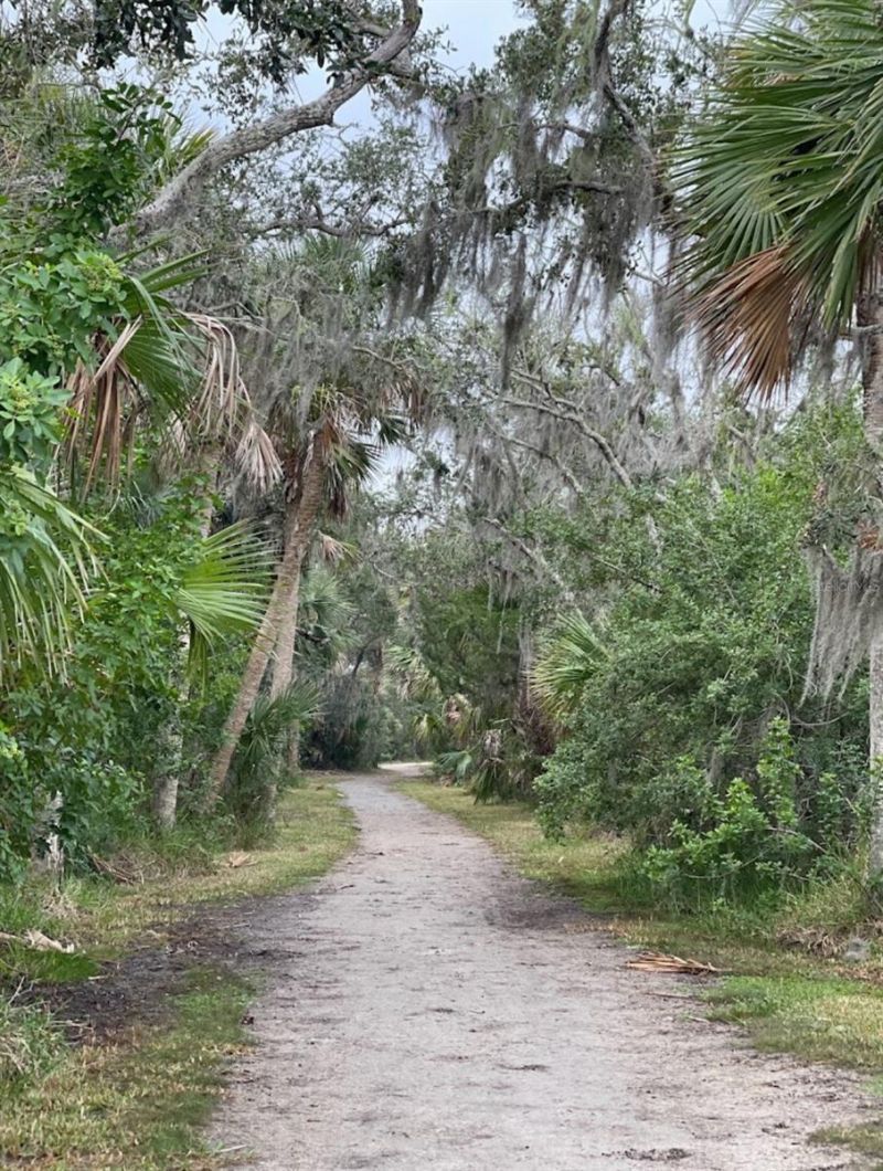 3800 Saxon Drive, Unit C52, New Smyrna Beach, FL 32169 Photo