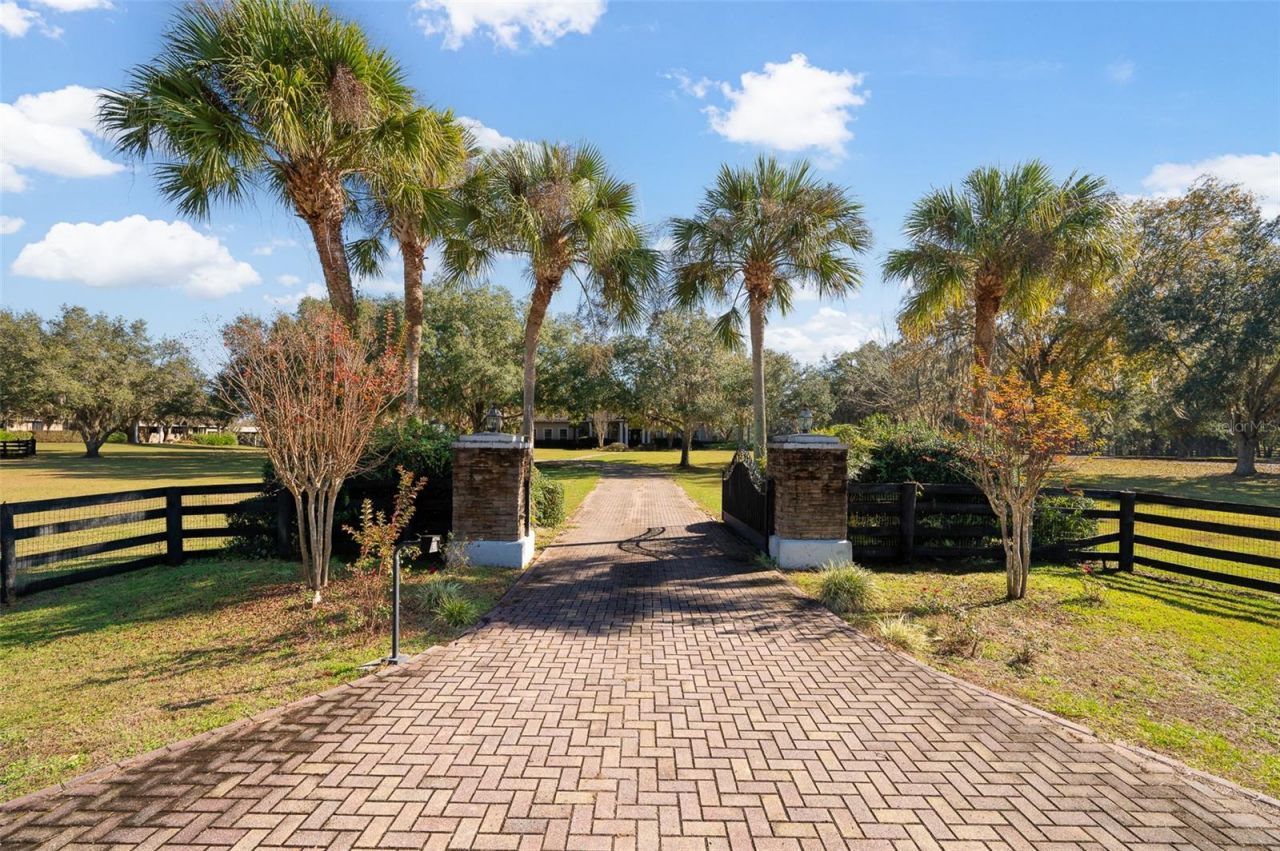 11715 NW 90th Avenue, Reddick, FL 32686 Photo