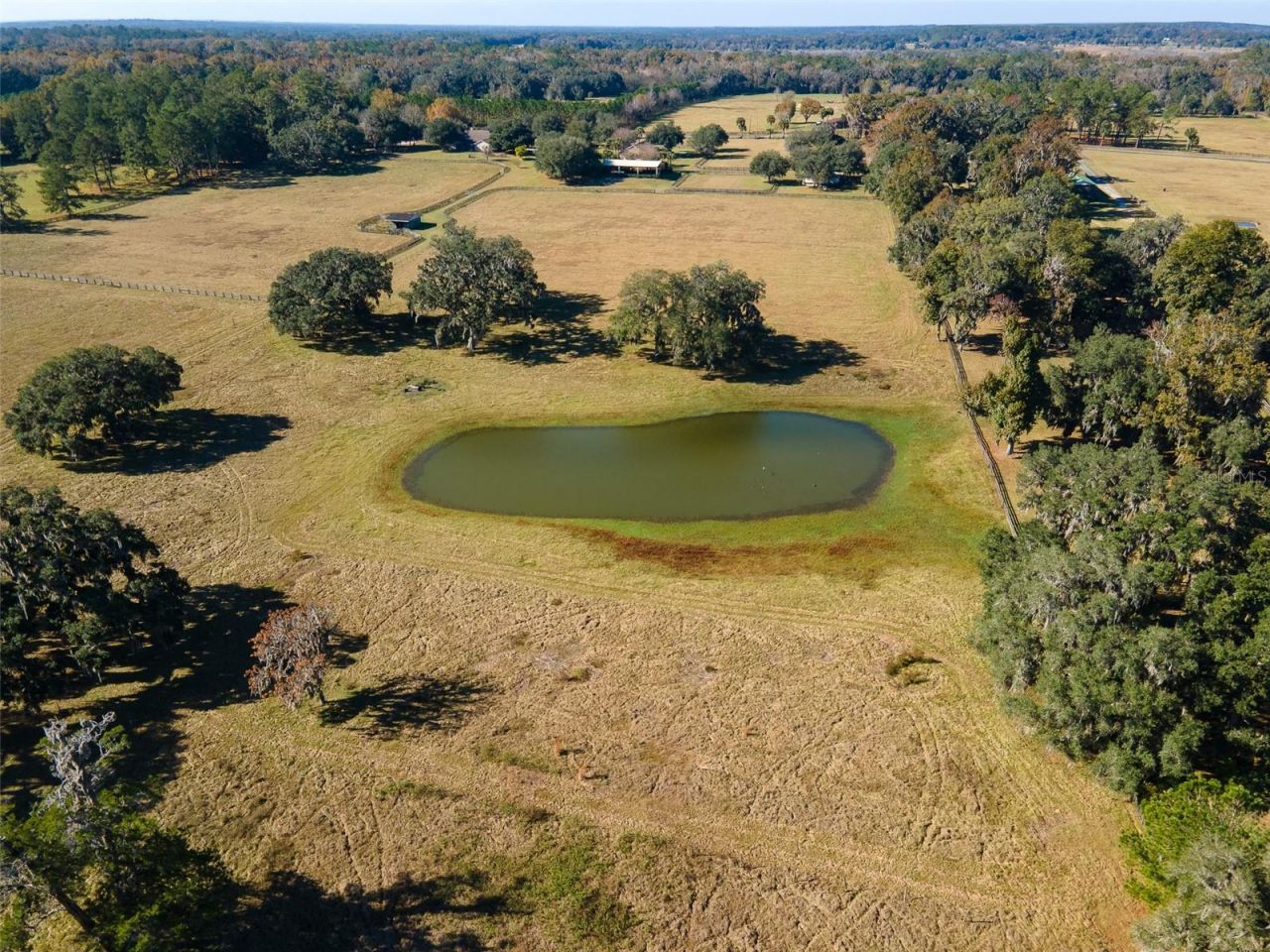 11715 NW 90th Avenue, Reddick, FL 32686 Photo