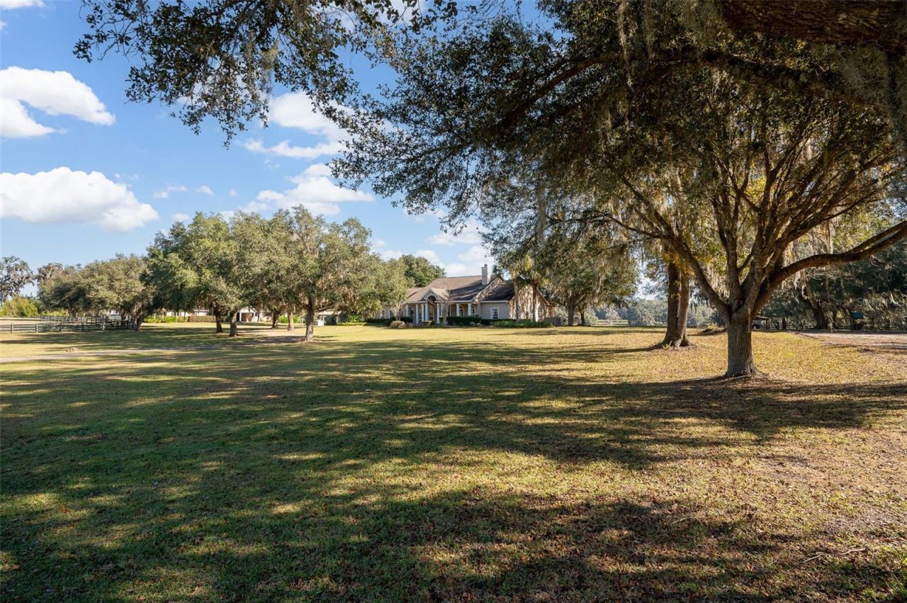 11715 NW 90th Avenue, Reddick, FL 32686 Photo