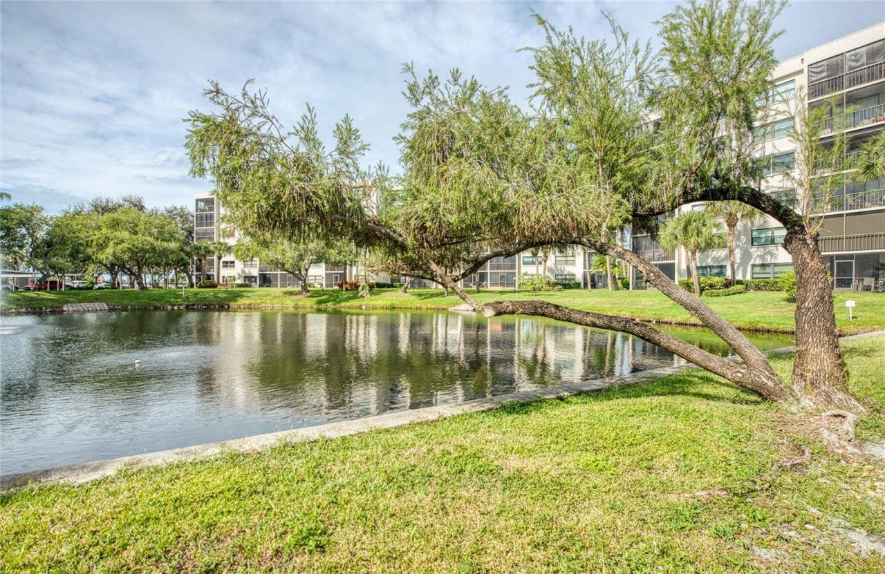 1304 Pasadena Avenue S, Unit 3, South Pasadena, FL 33707 Photo