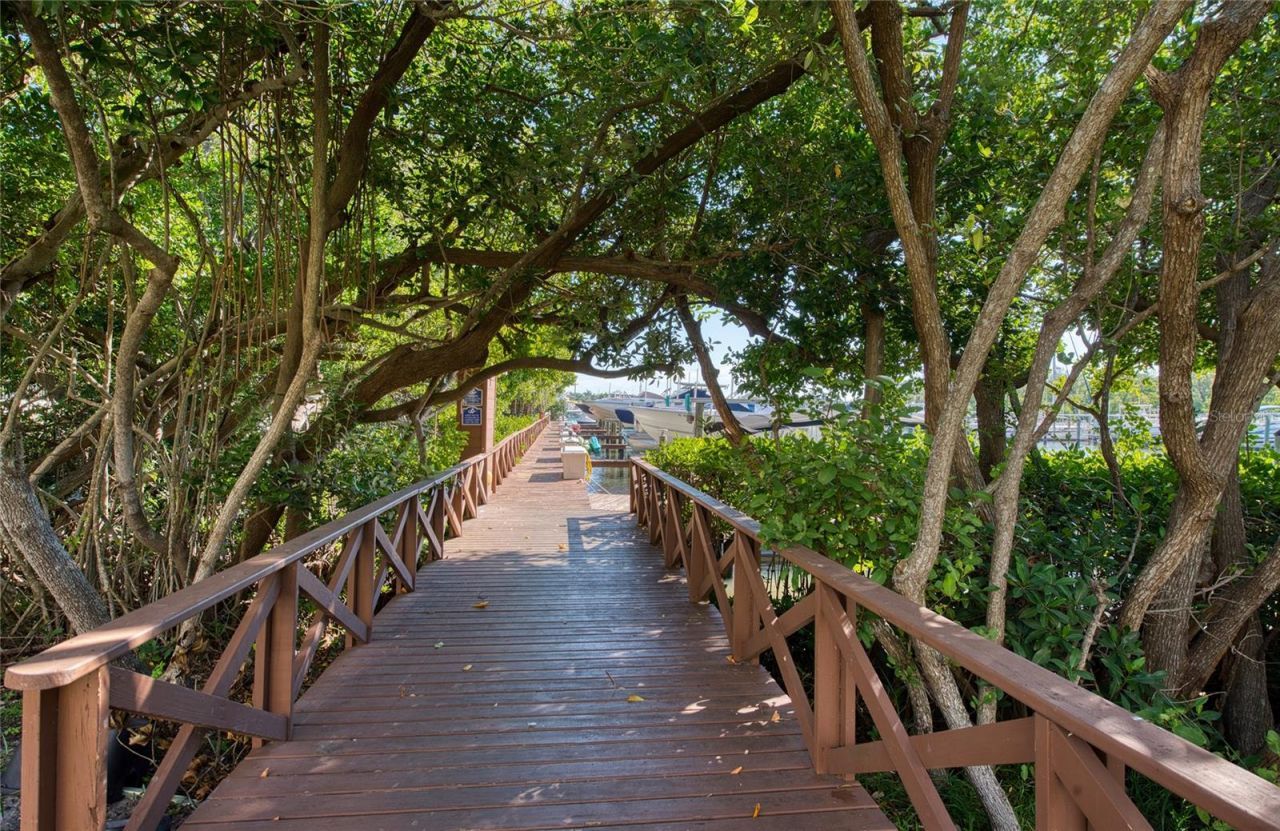 1304 Pasadena Avenue S, Unit 3, South Pasadena, FL 33707 Photo