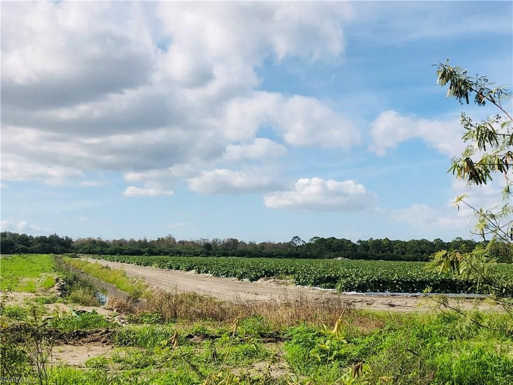 17341 Balfour Ter, Fort Myers, FL 33913 Photo