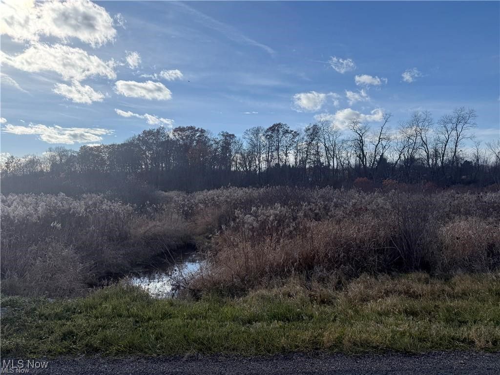 5089 Bayard Street, Homeworth, OH 44634 Main Photo