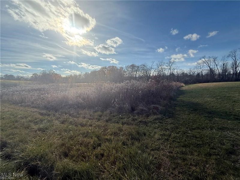 5089 Bayard Street, Homeworth, OH 44634 Photo 3