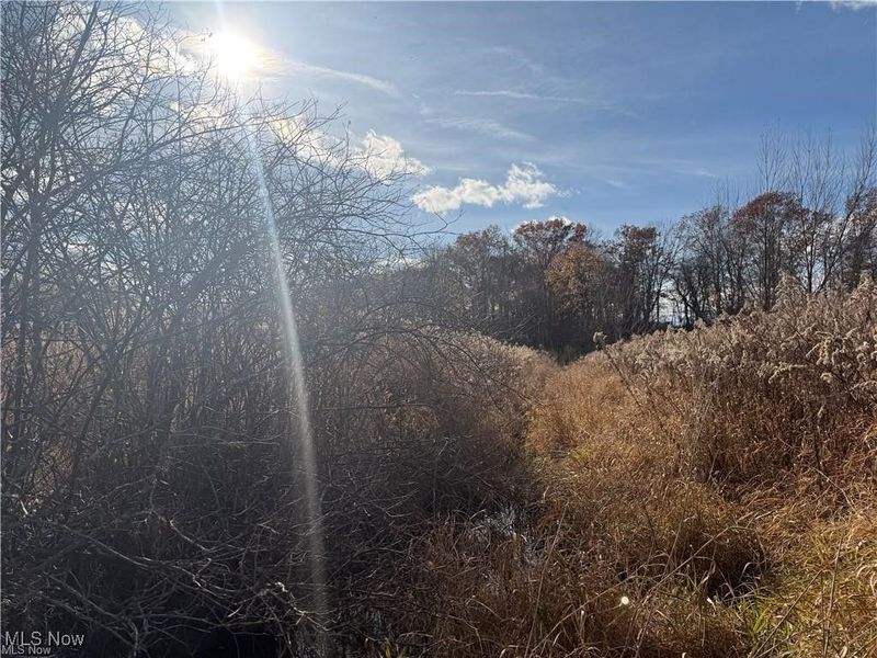 5089 Bayard Street, Homeworth, OH 44634 Photo 4