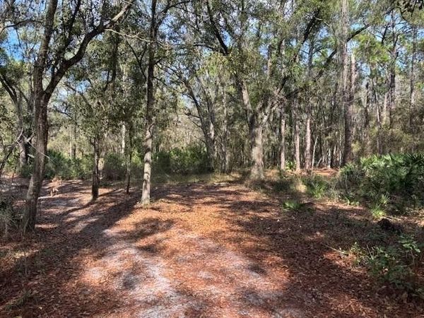 0 County Rd 54, Kathleen, FL 33849