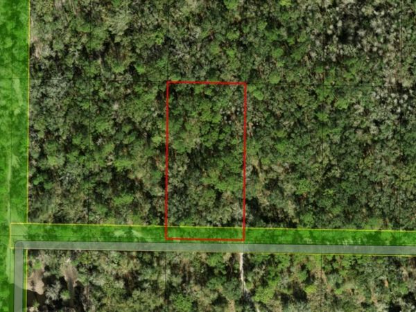 0 County RD 54 E, Kathleen, FL 33849