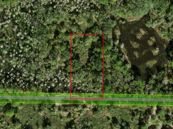 0 County RD 54 E, Kathleen, FL 33849