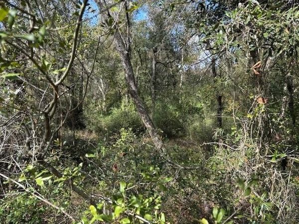 0 County Rd 54, Kathleen, FL 33849