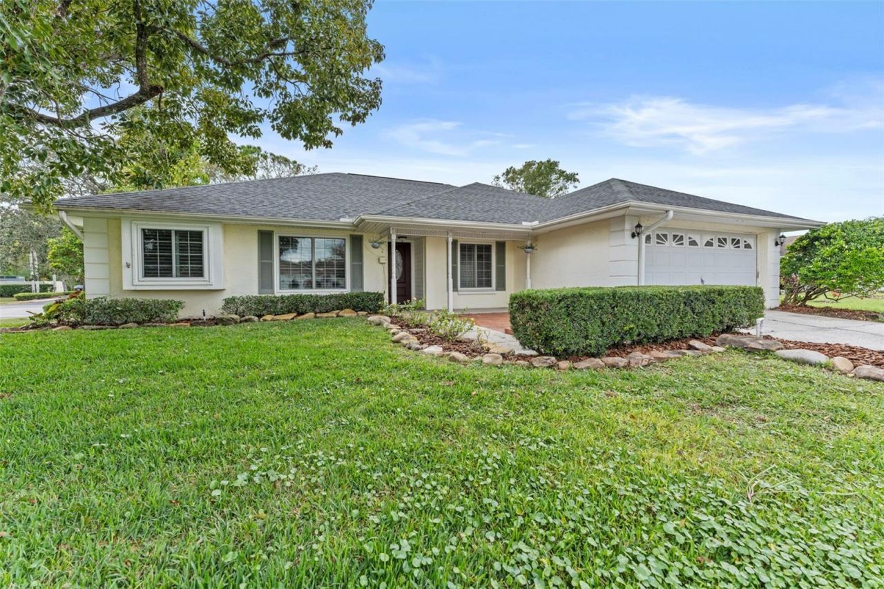 15102 Springview Street, Tampa, FL 33624 Main Photo