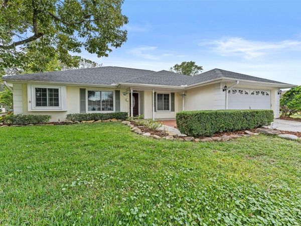 15102 SPRINGVIEW STREET, TAMPA, FL 33624