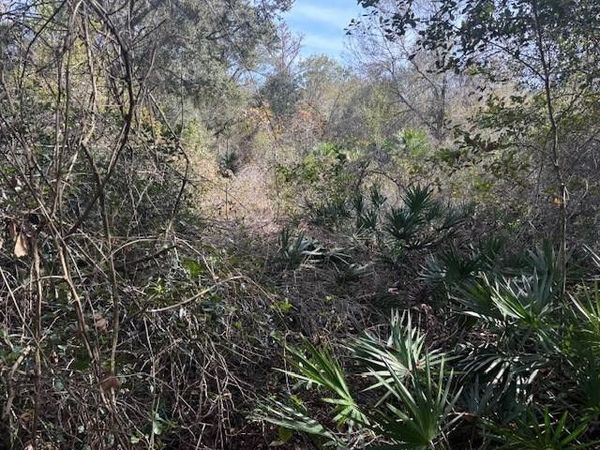 0 County Rd 54, Kathleen, FL 33849