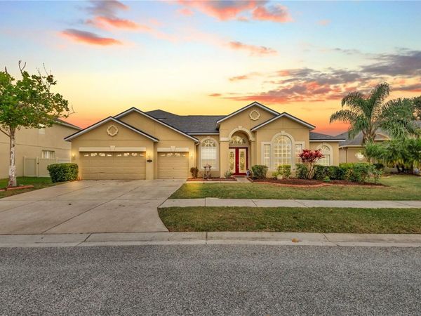 20330 NATURES CORNER DRIVE, TAMPA, FL 33647