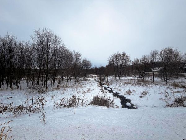 TBD Lands along 160th Ave & 315th St , Glenwood City, WI 54013