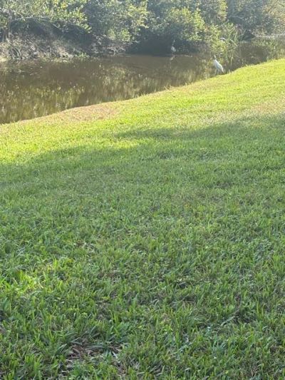 1848 Via Castello, Wellington, FL 33411 Photo