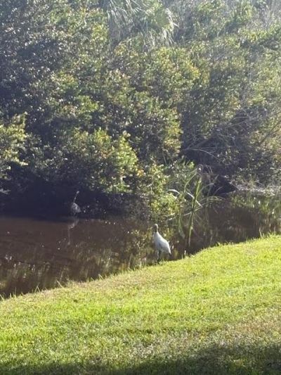 1848 Via Castello, Wellington, FL 33411 Photo