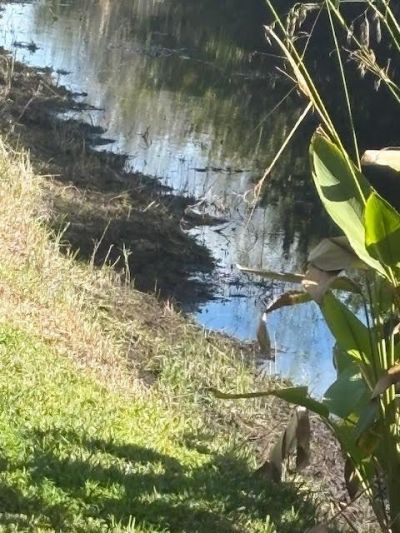 1848 Via Castello, Wellington, FL 33411 Photo