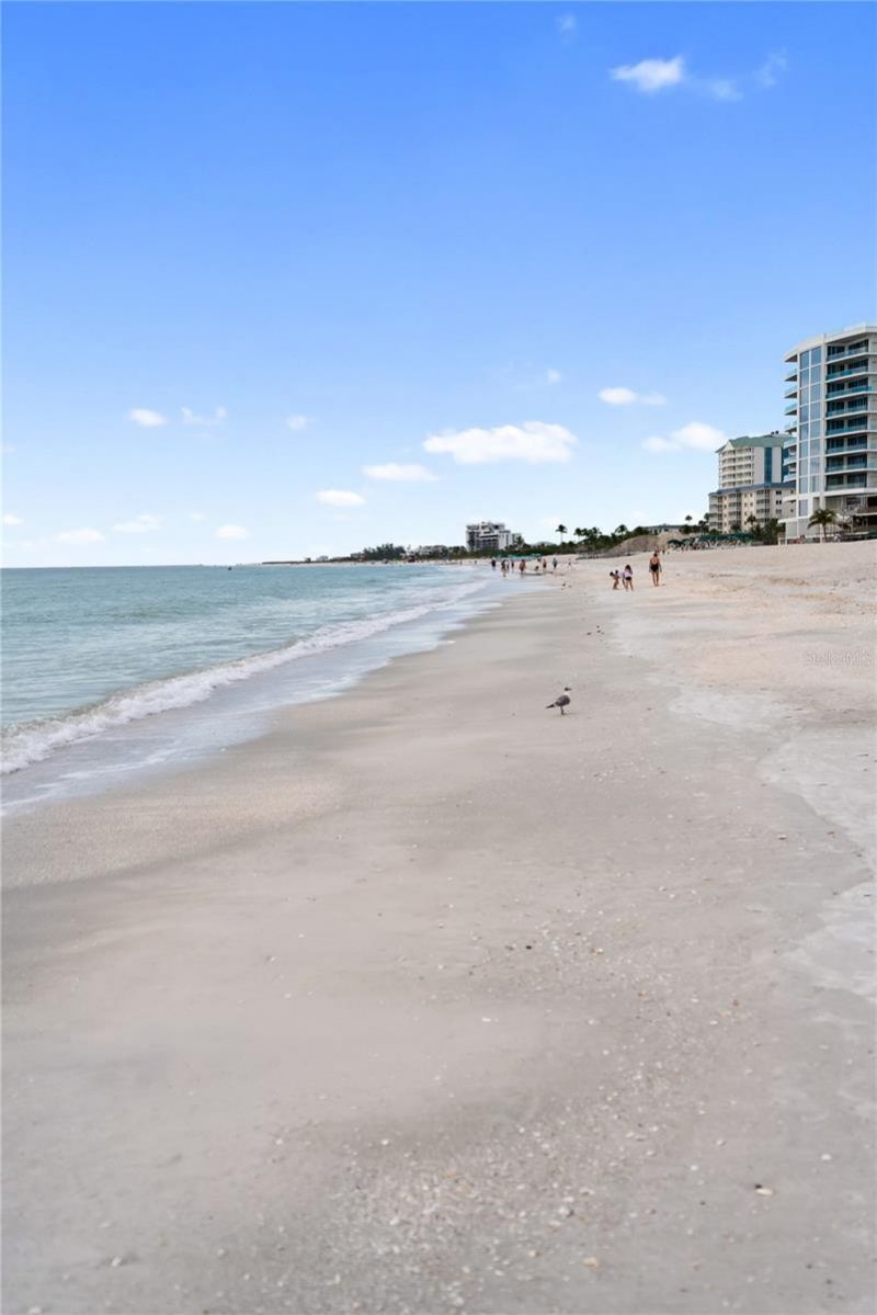 1212 Benjamin Franklin Drive, Unit 206, Sarasota, FL 34236 Photo