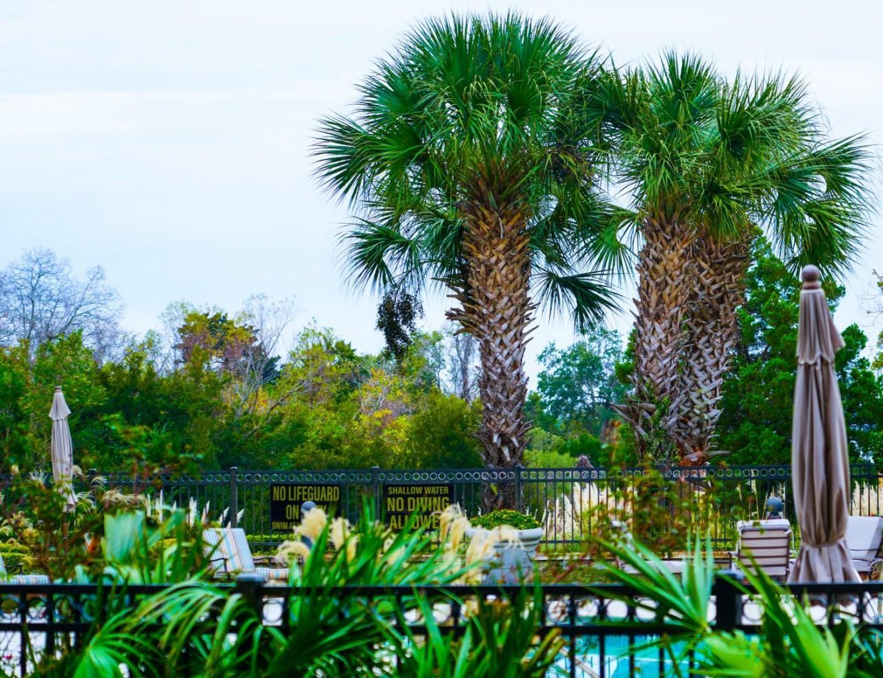 113 N Plaza Ct. Court Photo 21